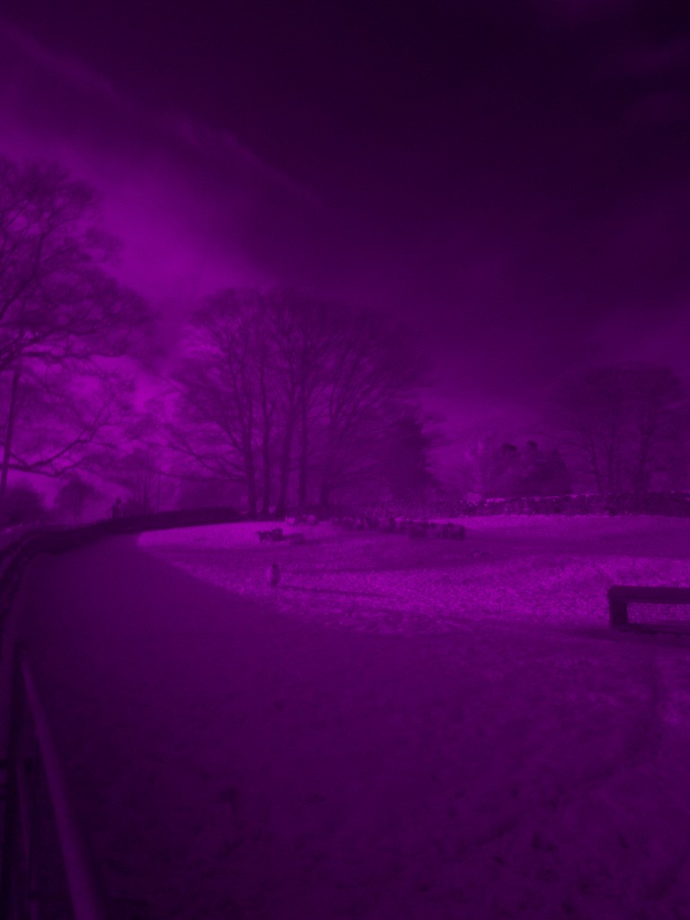 A farmyard, in infrared